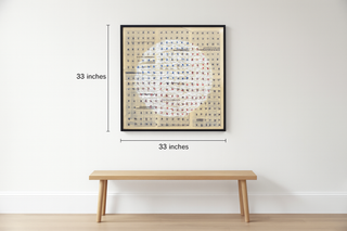 Japa and the illegals 2025