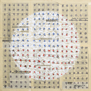 Japa and the illegals 2025